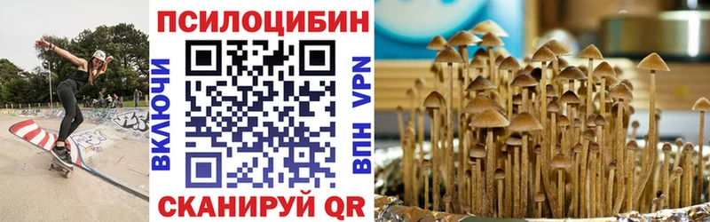 Купить где  Соликамск  Псилоцибиновые грибы Psilocybine cubensis 